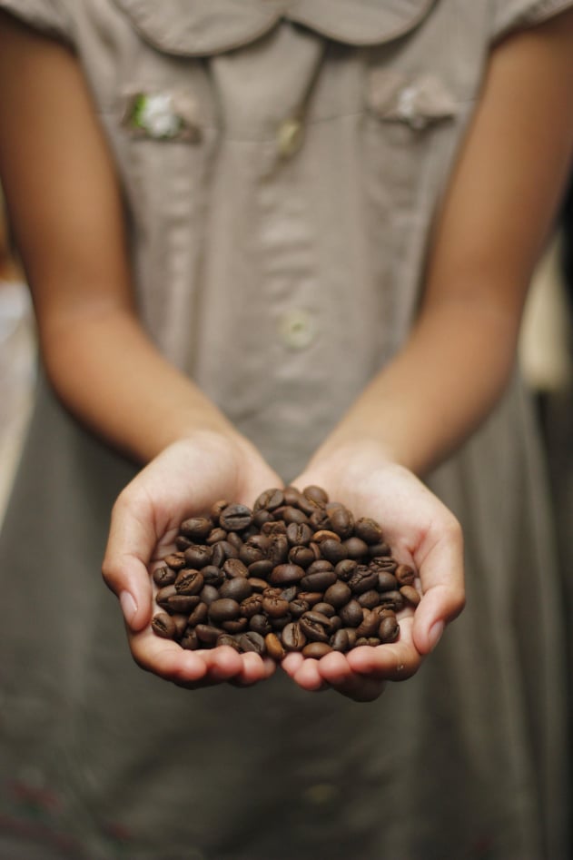 Java Burn Coffee